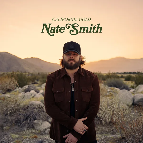 Cover of Fix What You Didn't Break by Nate Smith